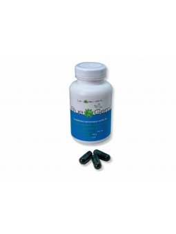 AFA Klamath Blue Gem®